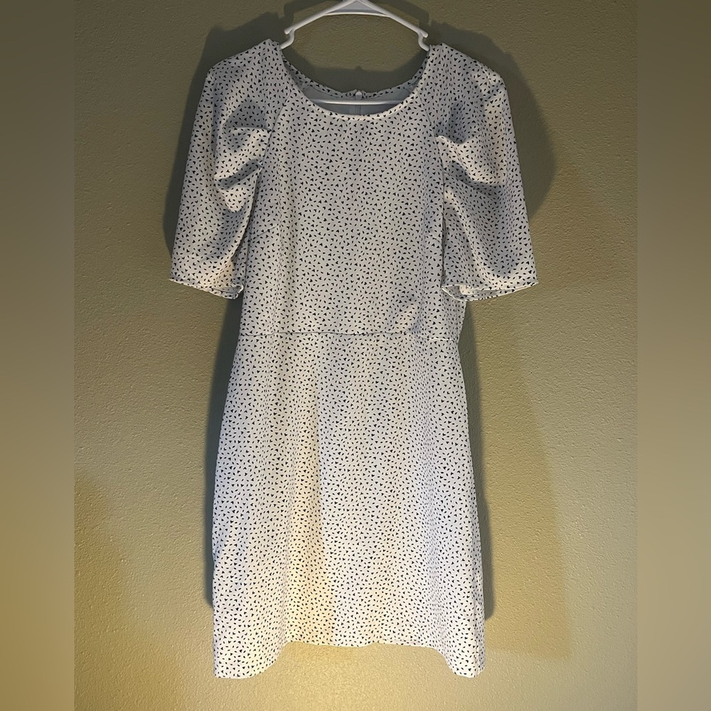 Banana Republic Black & White Dress